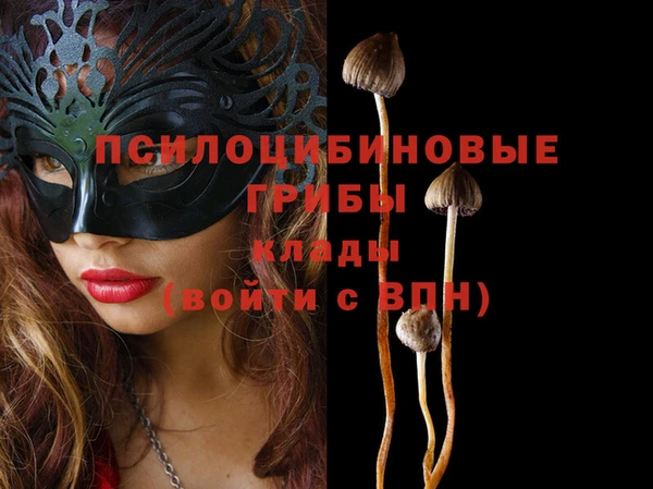 кокаин перу Рославль