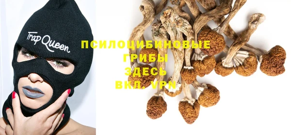 ALPHA-PVP Россошь