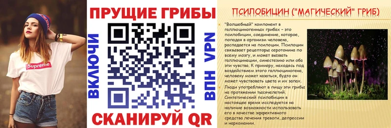 Галлюциногенные грибы MAGIC MUSHROOMS  Купить где  Удачный 